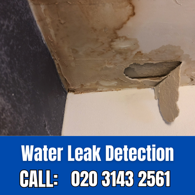 Expert Water Leak Detection Services in Wandsworth | Wandsworth Leak Detection